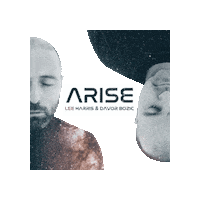 LeeHarrisEnergy arise leeharrisenergy leeharrismusic Sticker
