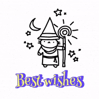 Best Wishes Cat GIF