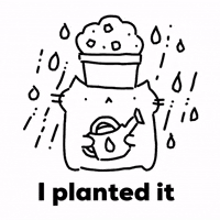 Cat Plant GIF