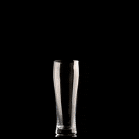 Drunk Beer GIF by Digga D