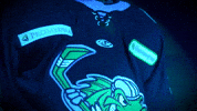 Jalen Smereck GIF by Toledo Walleye
