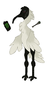 Animation Bird Sticker