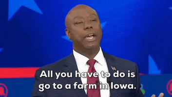 Republican Primary Debate Gop GIF