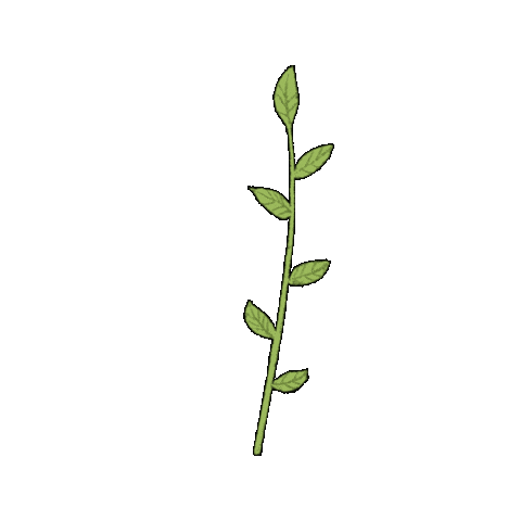 Life Plant Sticker