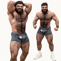 Gay Bear GIF by Database數據