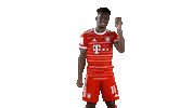 Happy Football Sticker by FC Bayern Munich