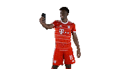 Happy Football Sticker by FC Bayern Munich