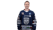 Ice Hockey Sticker by Fehervar AV19