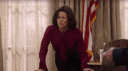 Selina Meyer No GIF
