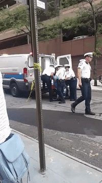 Police Lift Woman from Wheelchair into Van During Healthcare Protest