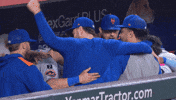 Celebration GIF by New York Mets