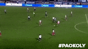 football paokfamily GIF by PAOK FC