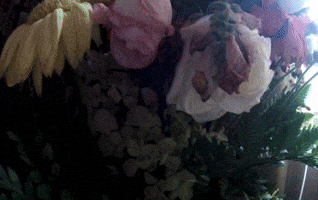 Las Flores (2015)