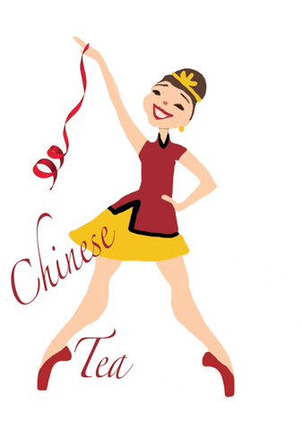 GIF by The Dance Bag