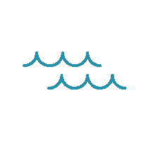 Ocean Seaweed Sticker by gimMe Snacks