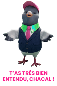planetcomfr hello french pigeon salut Sticker