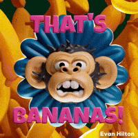 No Way Monkey GIF by Evan Hilton