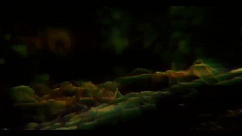 Glitch Fighting GIF