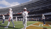 Football Nfl GIF by New England Patriots