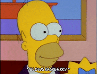 Angry Season 3 GIF by The Simpsons