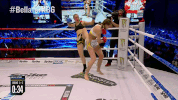 GIF by Bellator