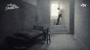 Tv Show Serie GIF by France tv