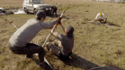 amazing race teamwork GIF by CBS