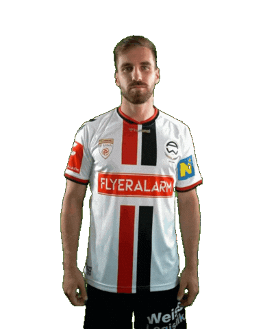 Admira Sticker by KSV1919