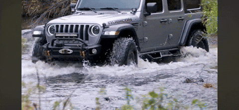LesSchwab  GIF