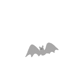 Chauve Souris Halloween Sticker by My Baby Factory