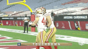 Regular Season Football GIF by NFL