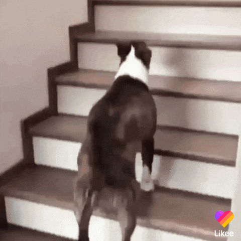 Trending Love GIF by Likee US