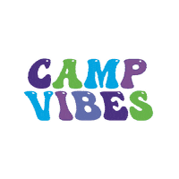 Summer Camp Camplife Sticker by Happy Camper Live