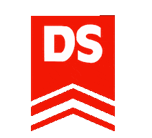 Logo Ds Sticker by dswohnbau_dsimmo