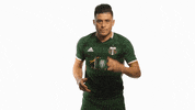 Portland Timbers Sip Tea GIF by Timbers