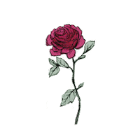 Rose Sticker by mamonde
