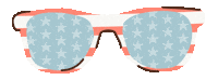 4Th Of July Summer Sticker by Natural Dog Company