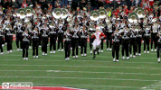 Ncaa Sports GIF by Ohio State Athletics