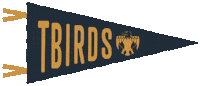 Tbird Sticker by USD 375 Circle Public Schools