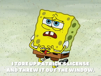 season 4 driven to tears GIF by SpongeBob SquarePants