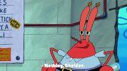 season 9 episode 21 GIF by SpongeBob SquarePants