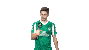 Bundesliga Austria Sticker by SV Werder Bremen
