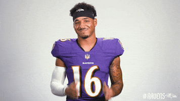 Football Nfl GIF by Baltimore Ravens