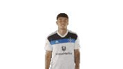 Football Hello Sticker by HSV