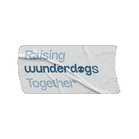 wunderdogae wonderdog wonder dog wunderdog wunder dog Sticker