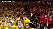 GIF by Maryland Terrapins