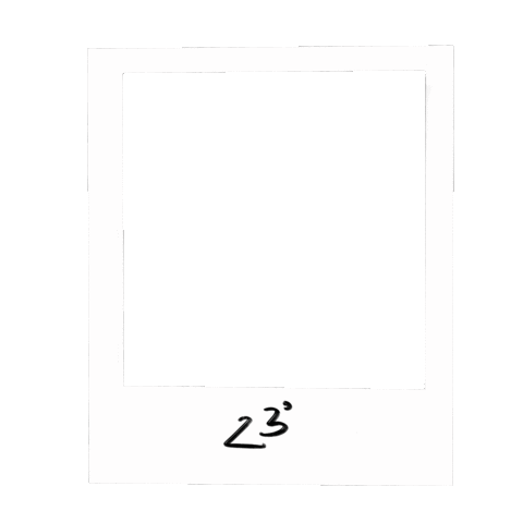 Polaroid Sticker