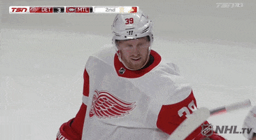 Ice Hockey Sport GIF by NHL