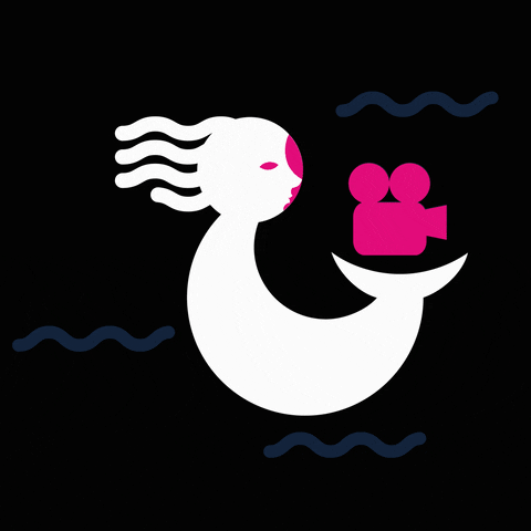 CINEMARE giphyupload GIF