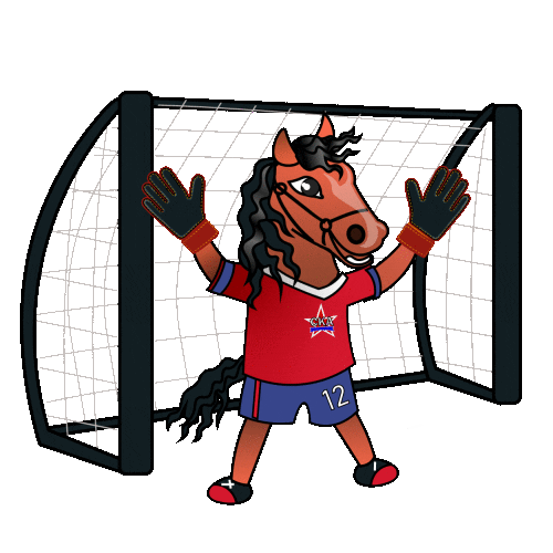 Football Sport Sticker by FC SKA